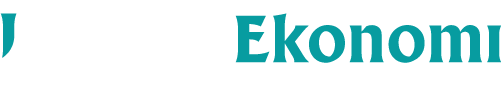 Logo liputanekonomi.com